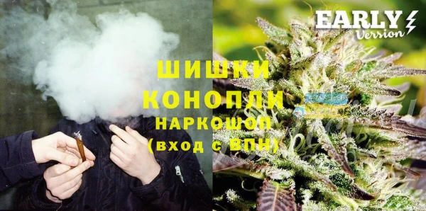 индика Богданович