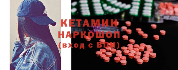 индика Богданович
