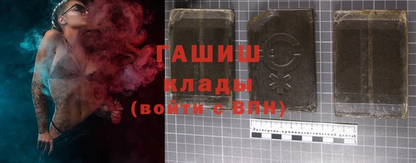 индика Богданович