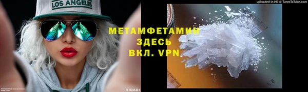 индика Богданович