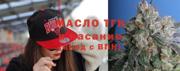 индика Богданович