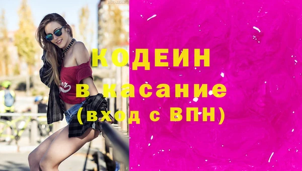 индика Богданович