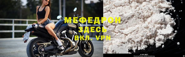 индика Богданович
